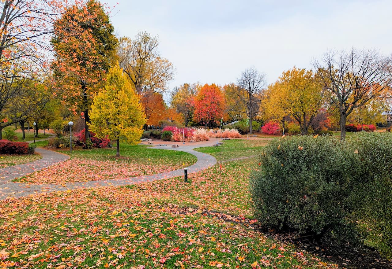 Thumbnail-For-Parc Victoria-By-Credit Instant