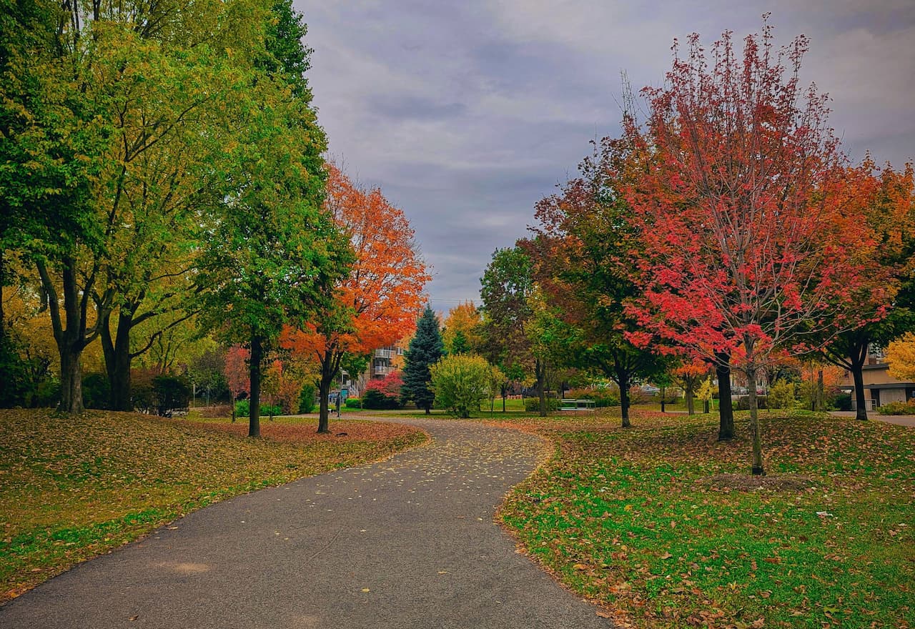 Thumbnail-For-Victoria Park-QC-By-Credit Instant